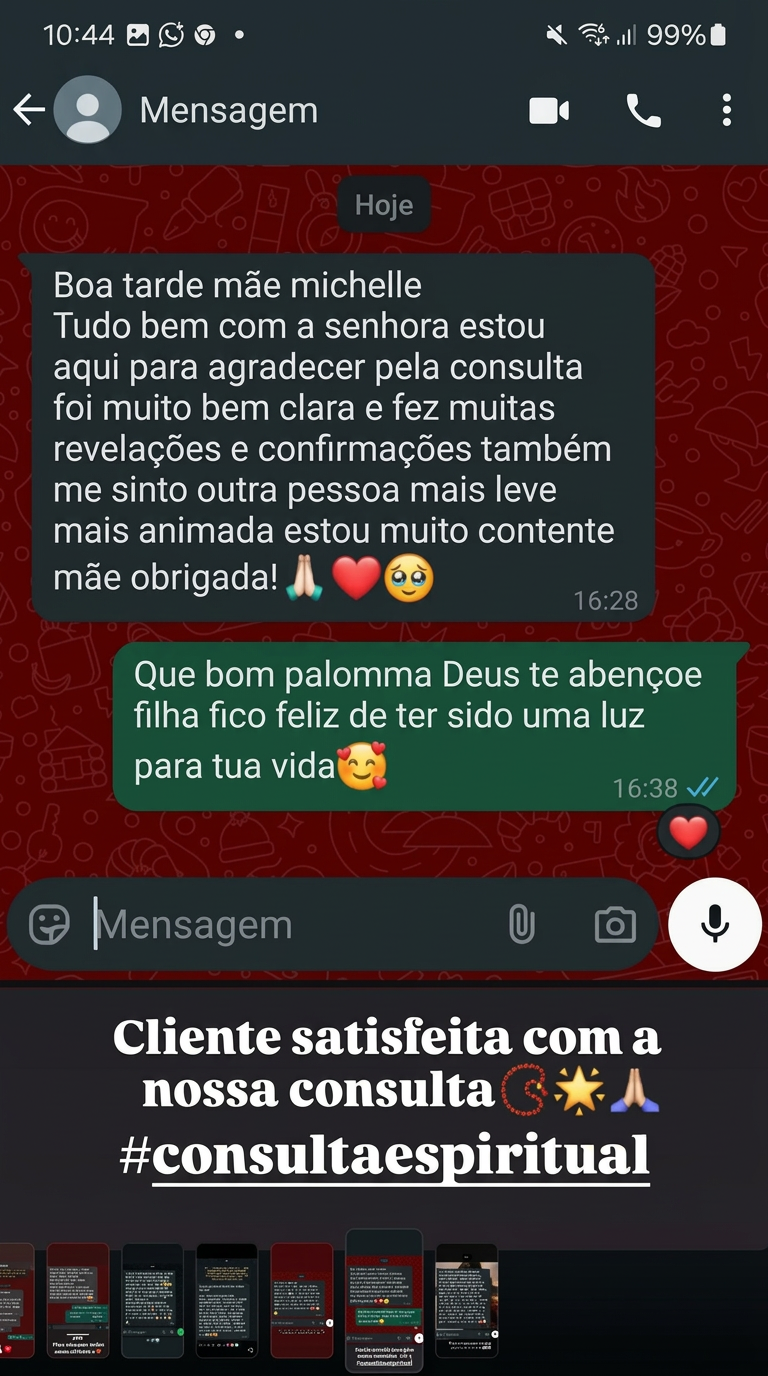 Conversa real de cliente com Mãe Michelle (2)